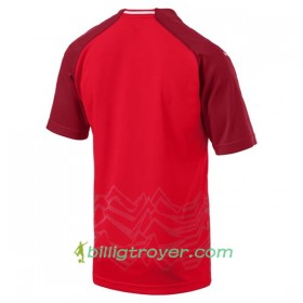 Billige Fotballdrakter Østerrike Hjemmedraktsett 2018